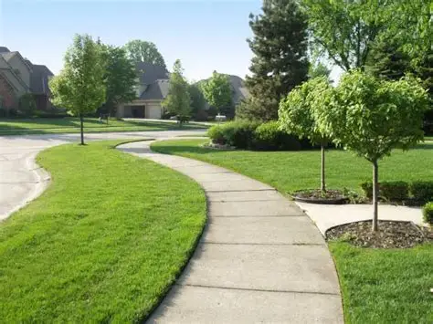 concrete sidewalk in a residential neighborhood.